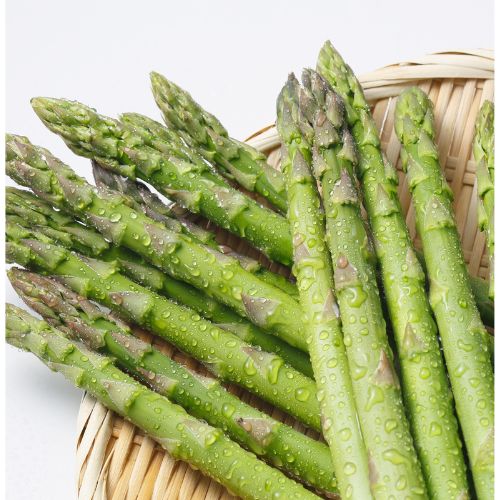 Asparagus Seedling