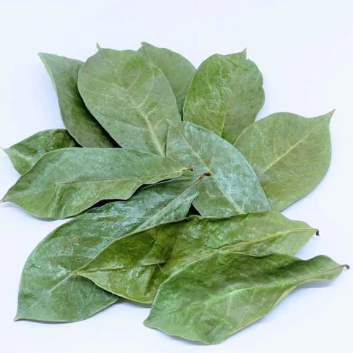 Dried Soursop Leaves