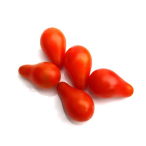 Red Cherry Tomato Seedling