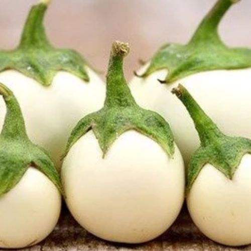 White Eggplant Seeds